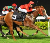 Magical Talent heads home towards his third consecutive win at Kranji.<br>Photo by Singapore Turf Club